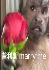 中午吃了牛肉晚上要喝蛋白粉吗
