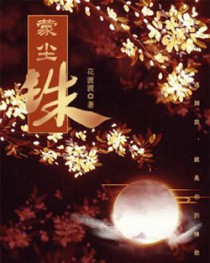蒙尘的拼音发音