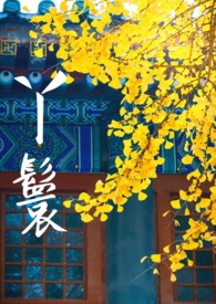 丫鬟卡子